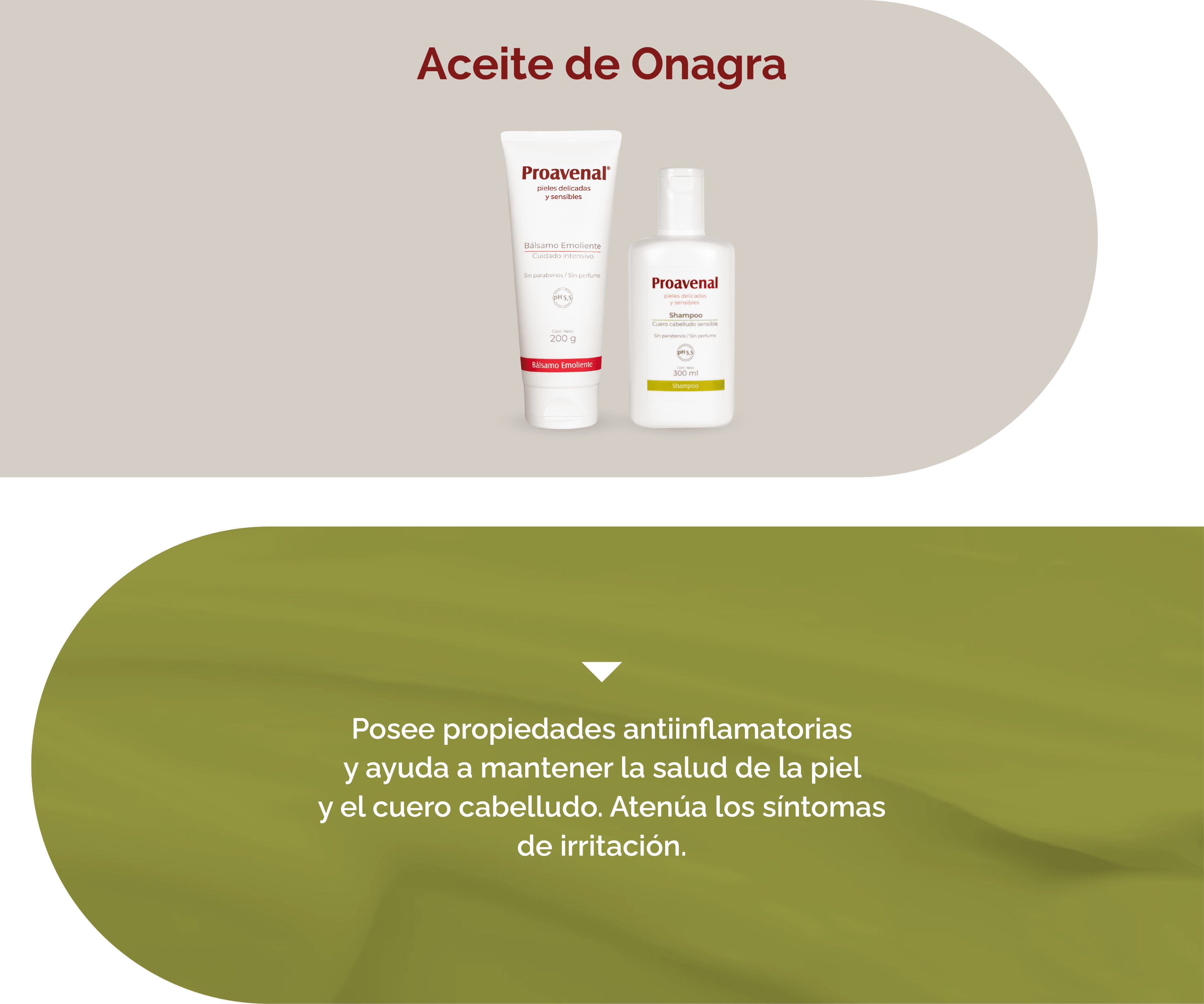 Componentes mobile-10